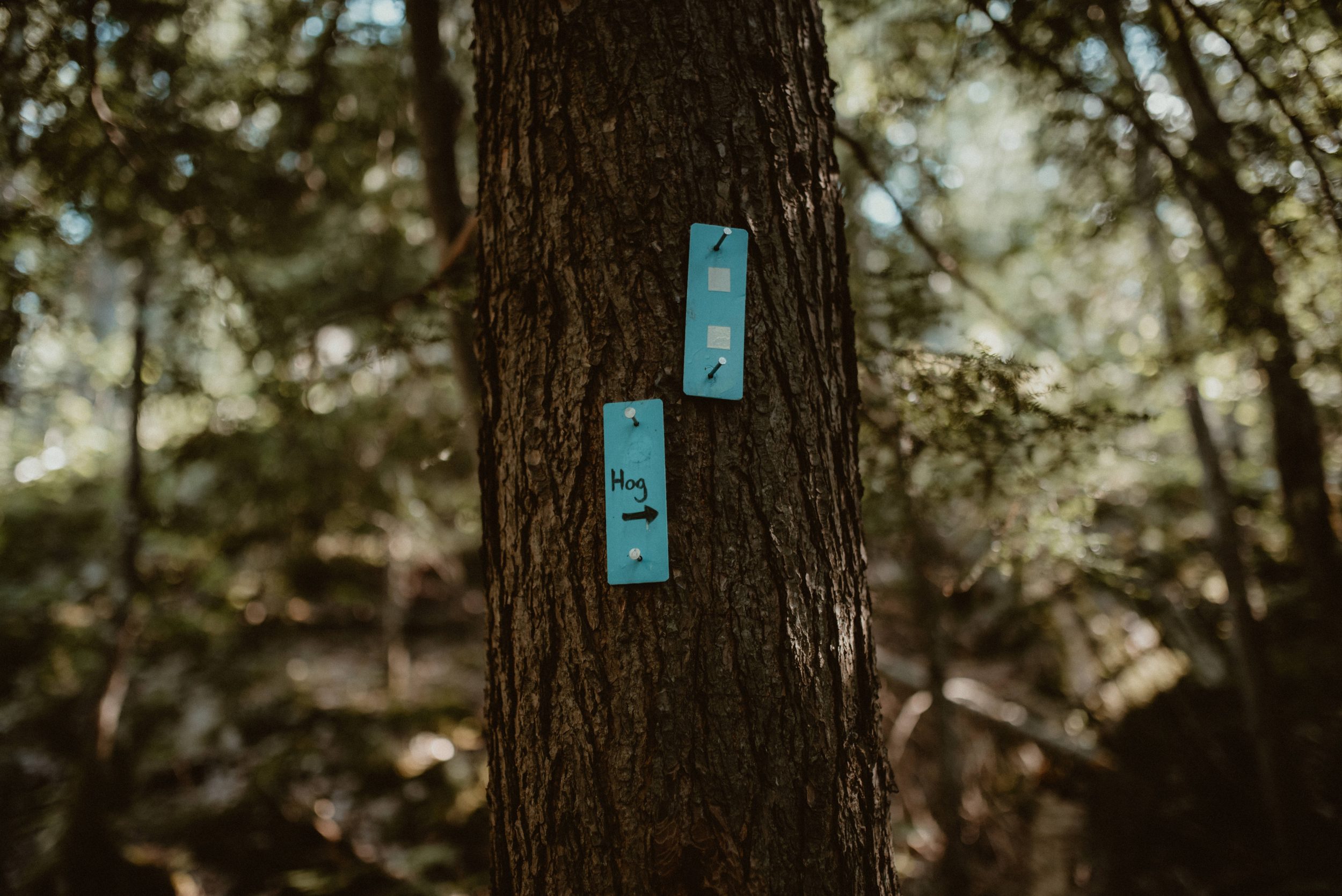 Sign to Hogback Mountain in Marquette, MI