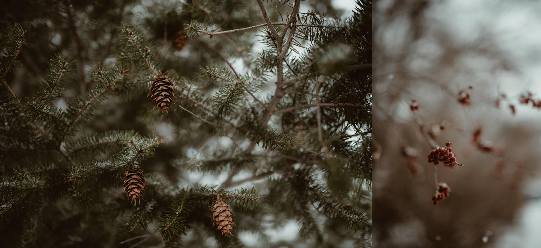 Marquette in Winter