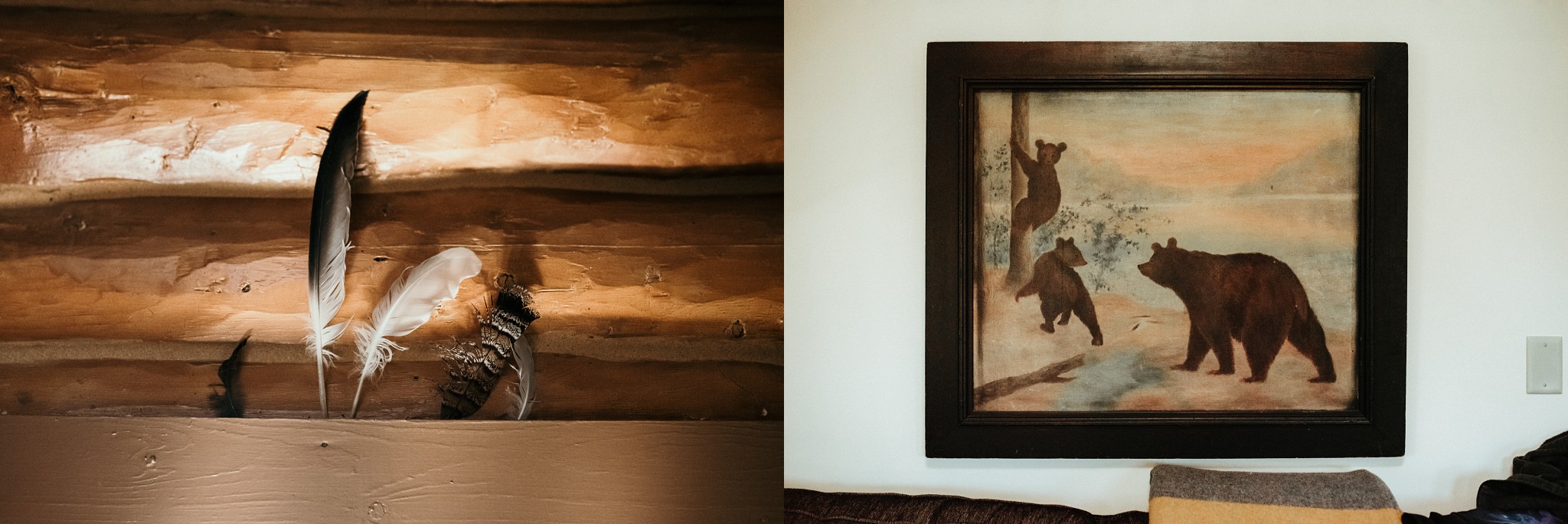 A collection of feathers and a painting of black bears.