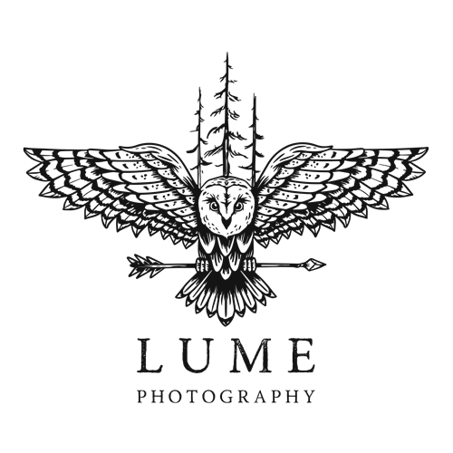 Lume Photography logo with flying owl.