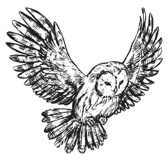 Flying owl graphic.
