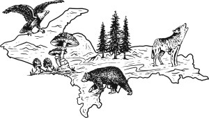 Illustration of the Upper Peninsula